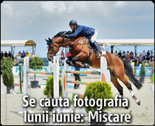 Se cauta fotografia lunii iunie: Miscare