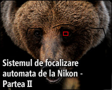 Tutorial foto: Sistemul de focalizare automata de la Nikon - Partea II