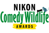 Concurs - THE COMEDY WILDLIFE AWARDS 2024 - in colaborare cu NIKON