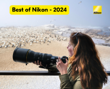 Best of Nikon - 2024