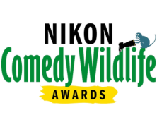 Concurs - THE COMEDY WILDLIFE AWARDS 2024 - in colaborare cu NIKON